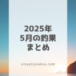 Sinya Tyoukou.com