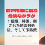 Sinya Tyoukou.com